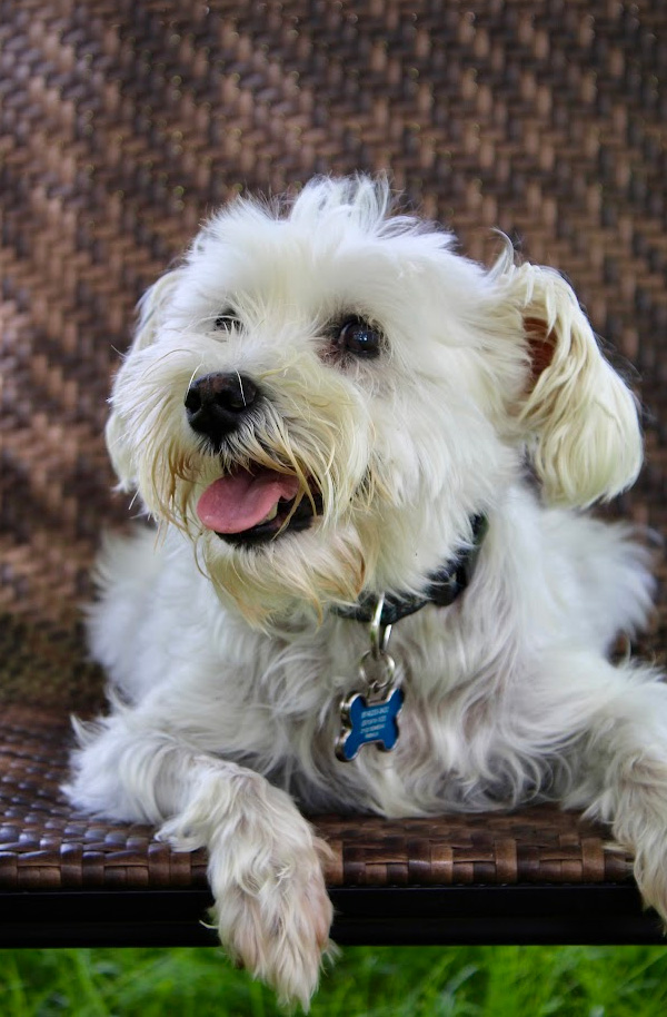 Friendly Smiles of Solomons | Smile Makeover, Root Canal Therapy and Oral Examinations